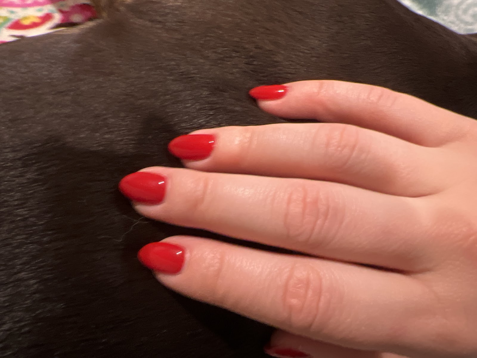 Cam's Nail Boutique
