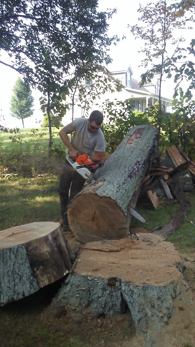 Montes tree&firewood service LLC