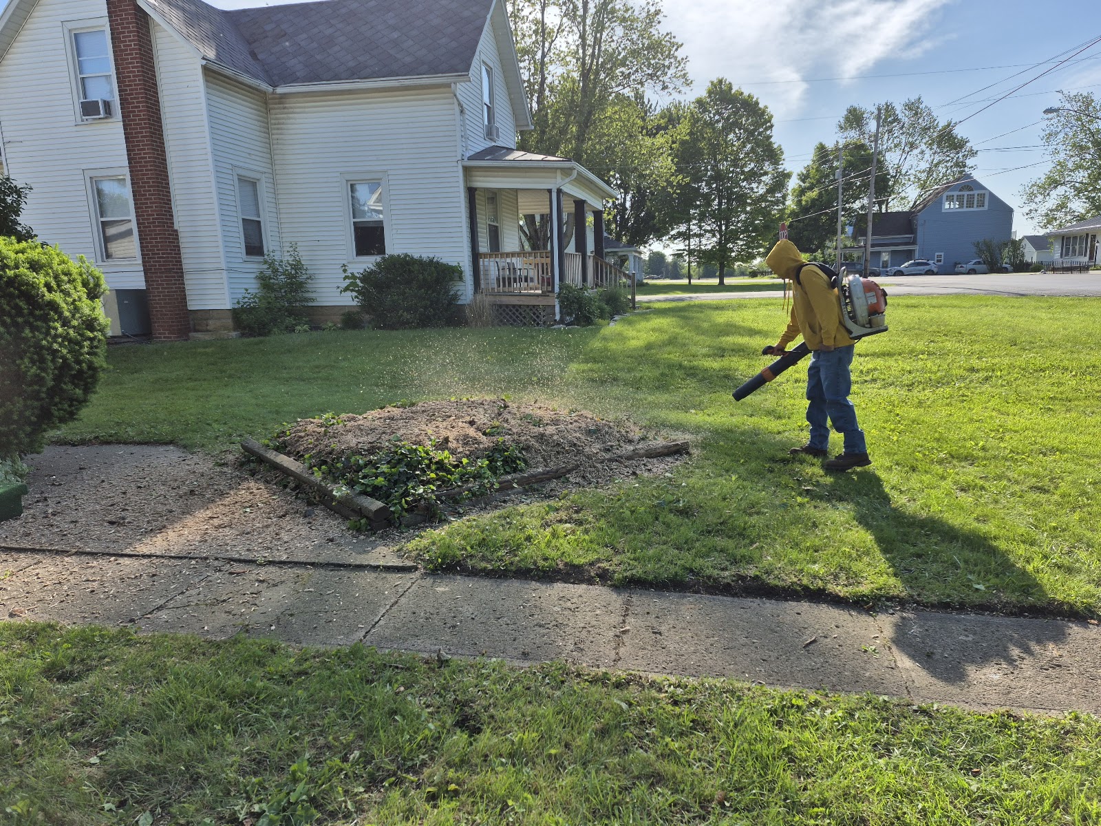 Montes tree&firewood service LLC