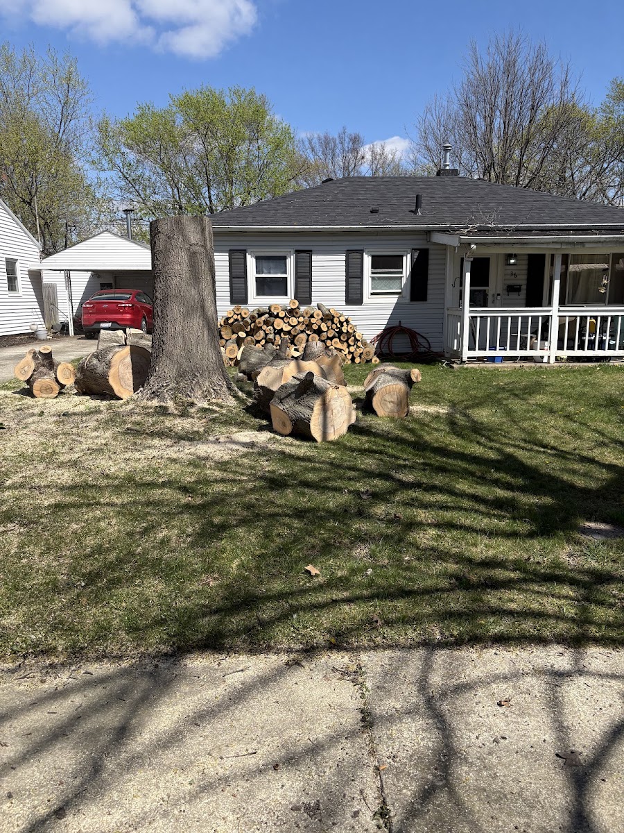 Montes tree&firewood service LLC