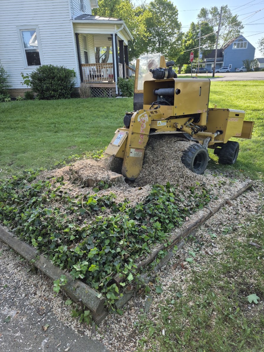 Montes tree&firewood service LLC
