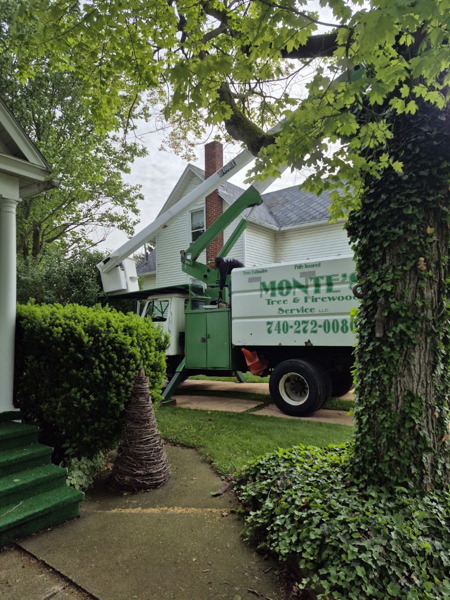 Montes tree&firewood service LLC